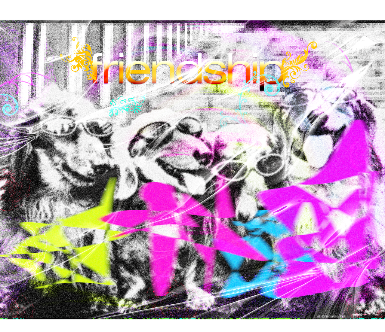 Poster 25