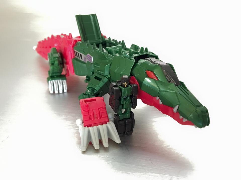 13516525_876405425820197_2965620830327855405_n