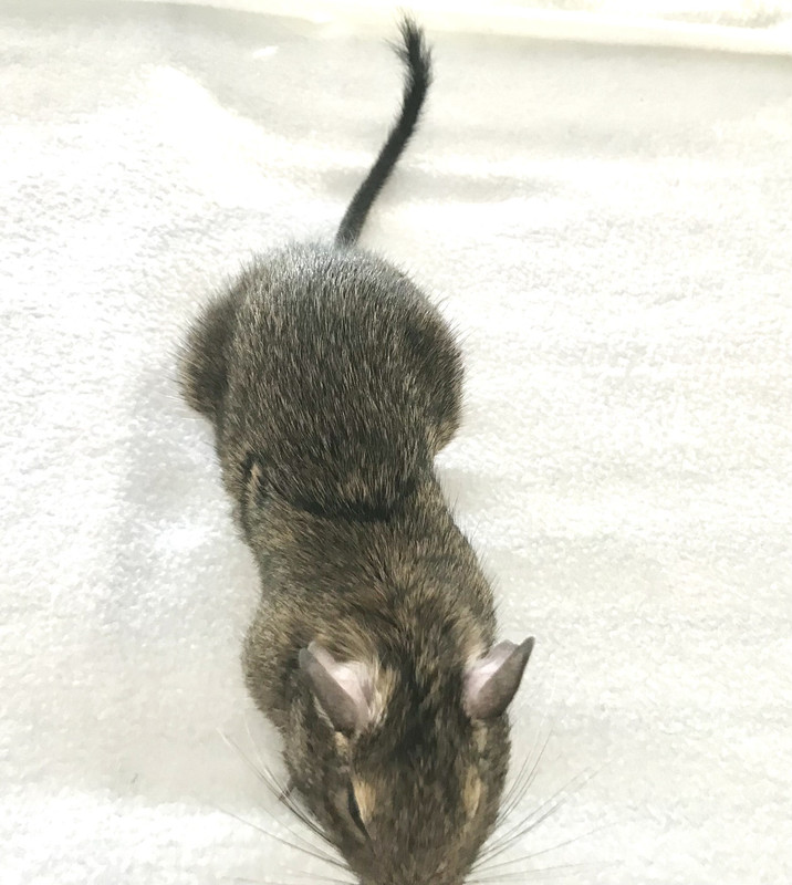 30AC784E-1A26-4BDA-9C55-4E82330A51DE