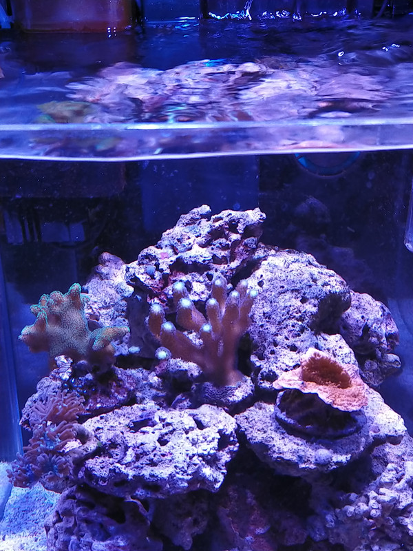 C4678D5A-3AC4-4DC4-BABB-109A5FF17BA8