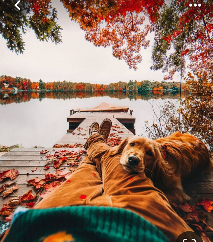 Screenshot_20231201_000454_Pinterest