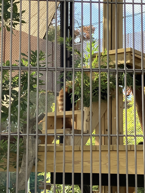 DEAEE6D8-68DC-43BC-B39A-2601DBBC9019