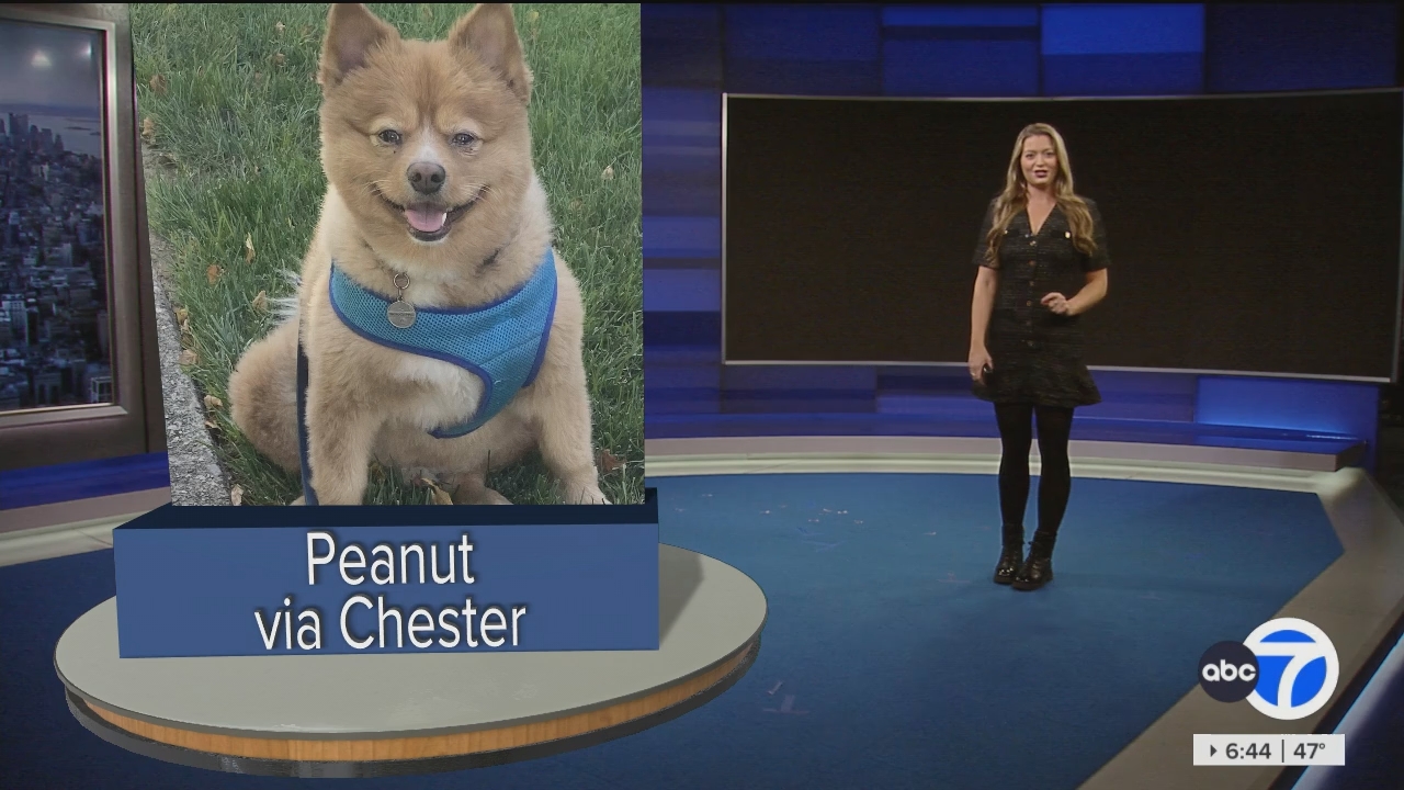 Eyewitness News Sunday Morning_20241110_11001300.ts_snapshot_00.45.00.577