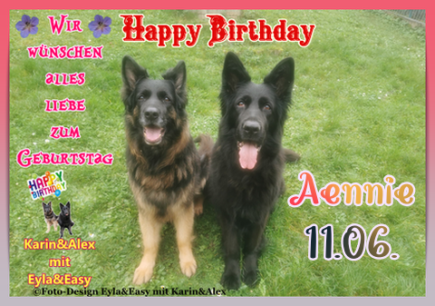 An den Beitrag angehängtes Bild: https://i.postimg.cc/TwKW3Ldf/Vorlage-Bild-Geburtstag-2025-png-Aennie11-06-Regina.png