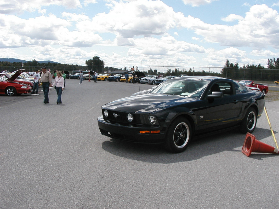 Montréal Mustang: 40 ans et + d’activités! (Photos-Vidéos,etc...) - Page 20 P8120092