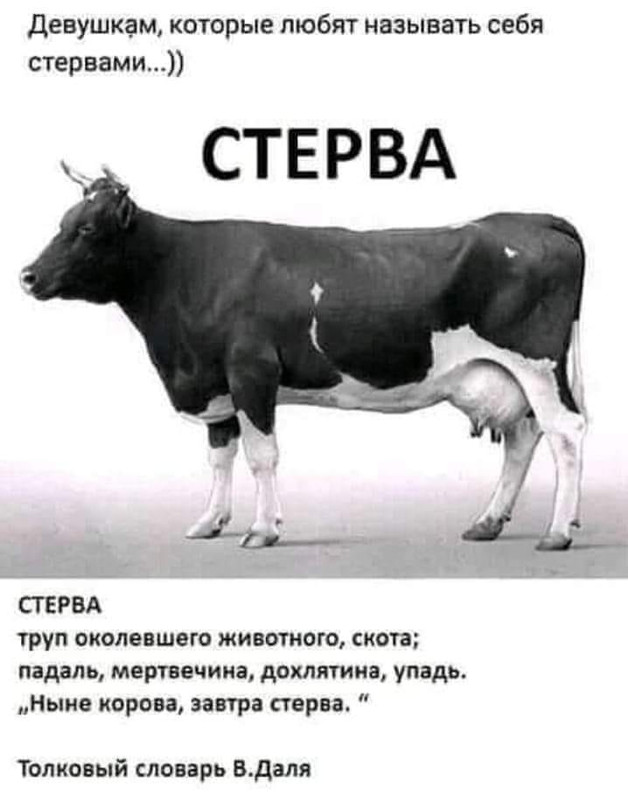 462001530-385655337948275-45079583525152