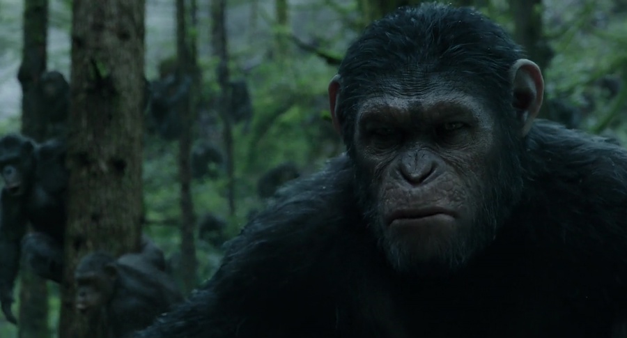 Download Dawn of the Planet of the Apes (2014) BluRay [Hindi + Tamil + Telugu + English] ESub 480p 720p 1080p