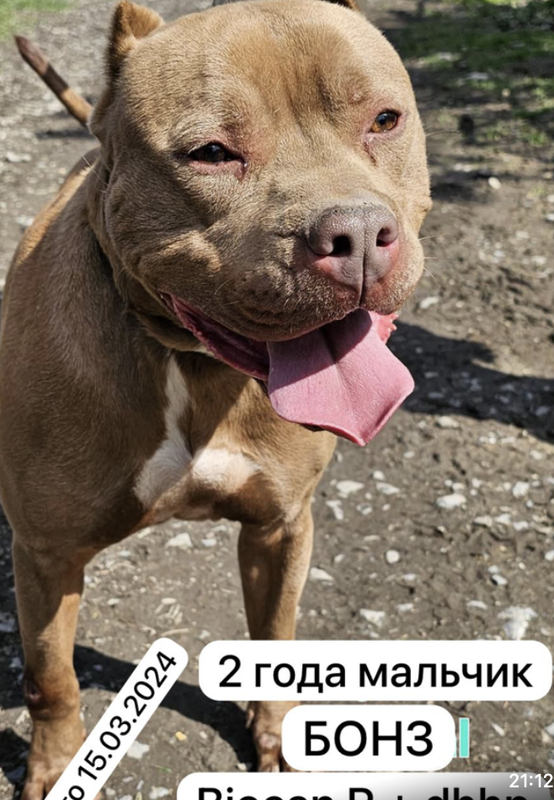 Снимок экрана 2024-04-30 в 22.57.48