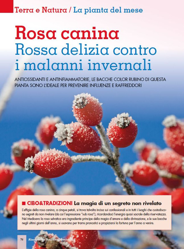 Alim Nat Dic 2019 (7)