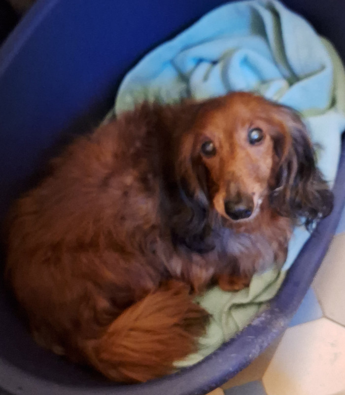 [Image: 20250223-181043.jpg]