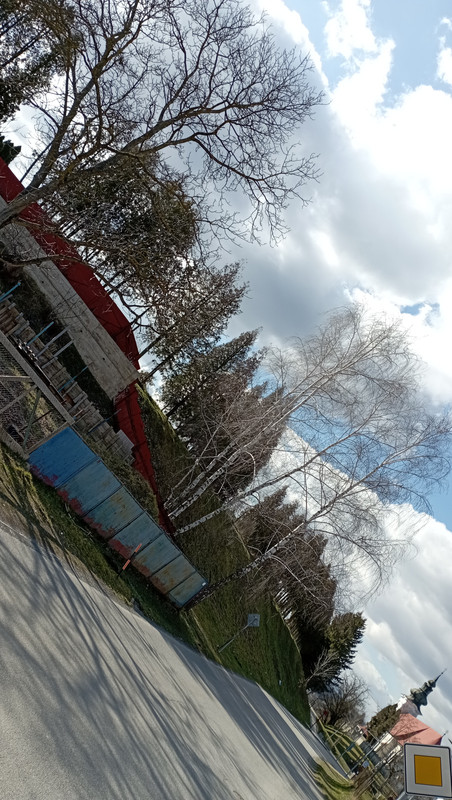 IMG_20230316_140534