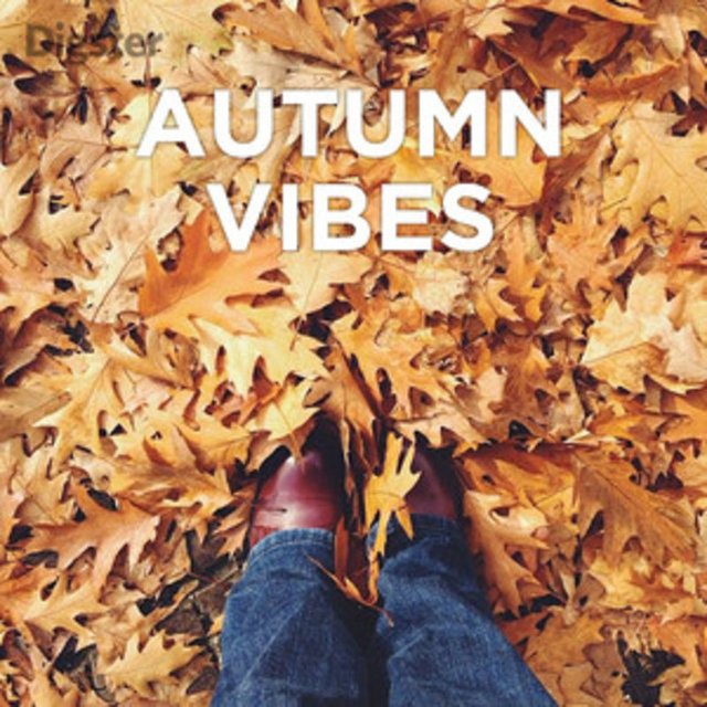 Autumn Vibes 22/10 (2020) mp3 320 Kbps