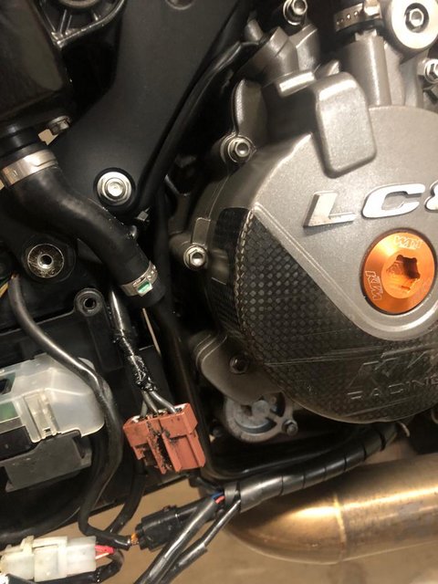 WhatsApp Image 2023-03-06 at 17.41.27 (1)