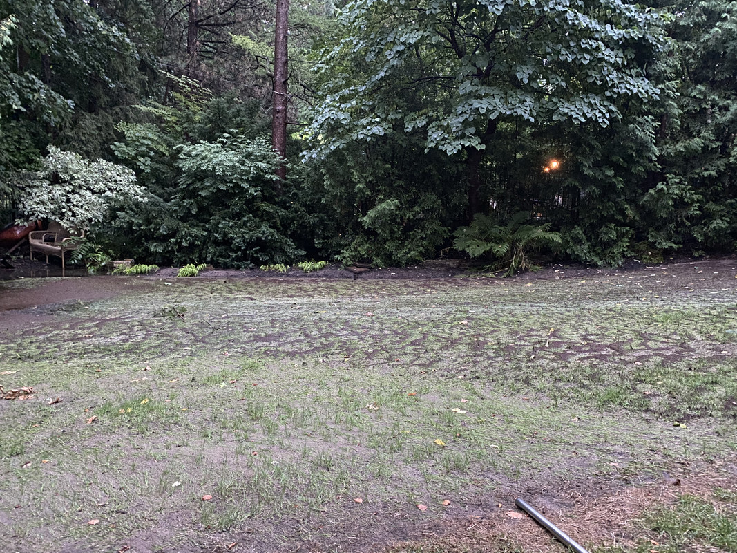 48A7FFB4-C04F-4A5B-BD52-314FA511CC76