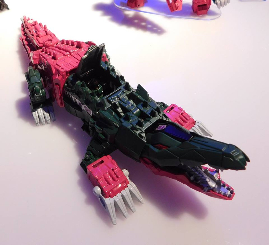 12088309_936690889711948_7855837473022189521_n