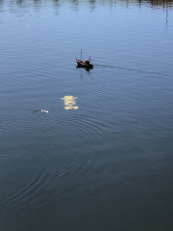 IMG-9110.jpg