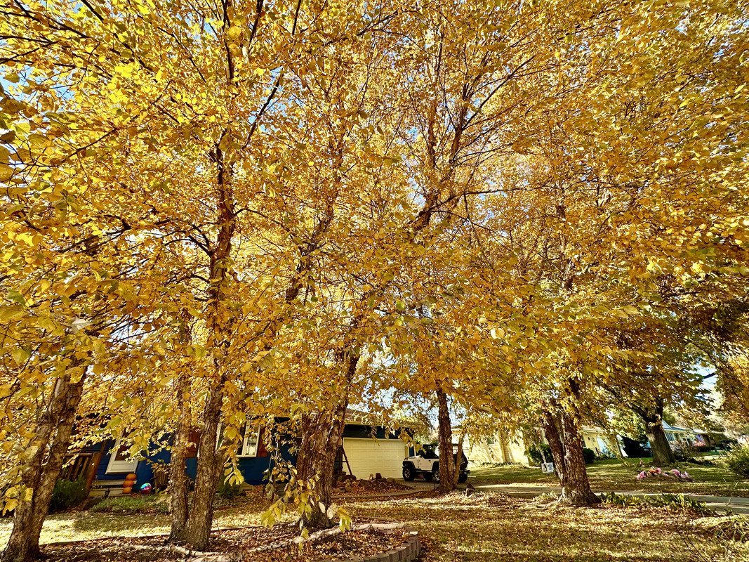 B610D5C9-6B6B-4BD2-9284-45E655C5D8C1