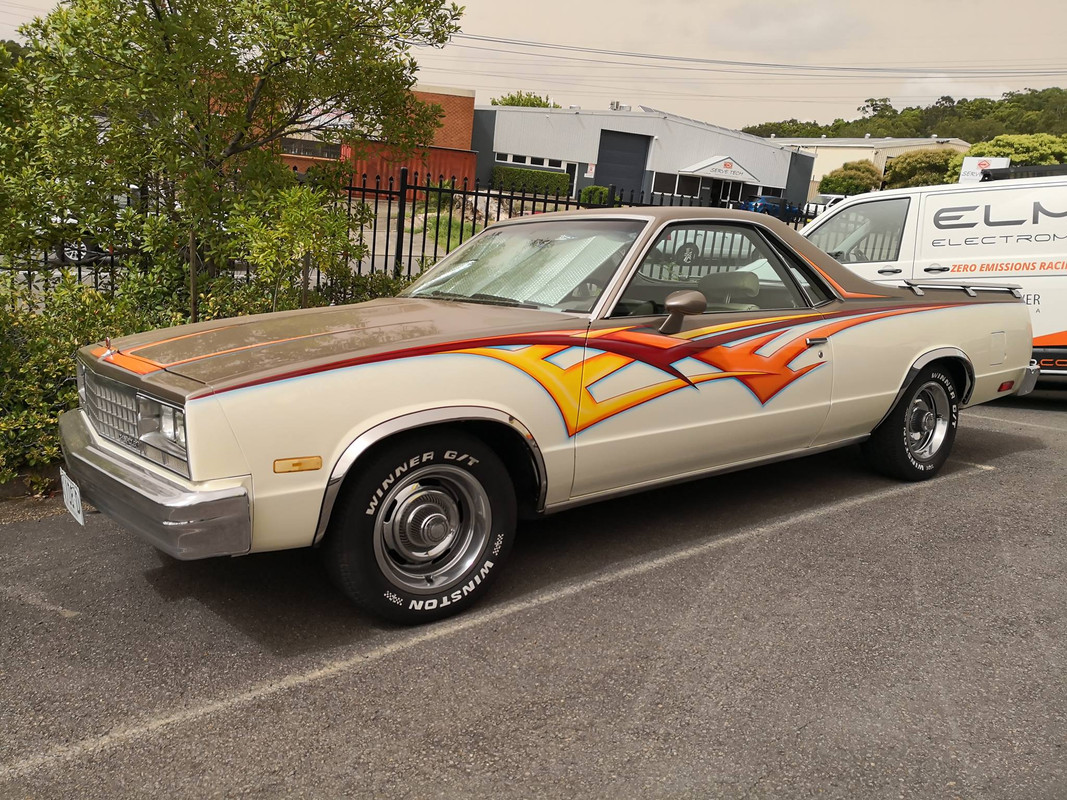 52153186_2074584229303149_3625234993787174912_o