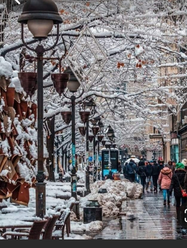 Screenshot_20231118_233338_Pinterest