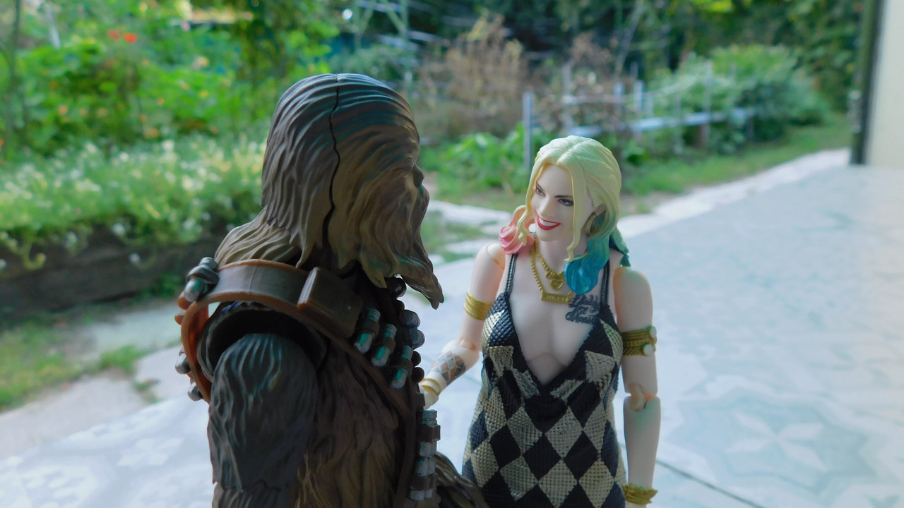 Дачно-барбейское июль, Харлинское 2-я серия 200