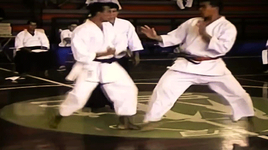 Machida-Throws.gif
