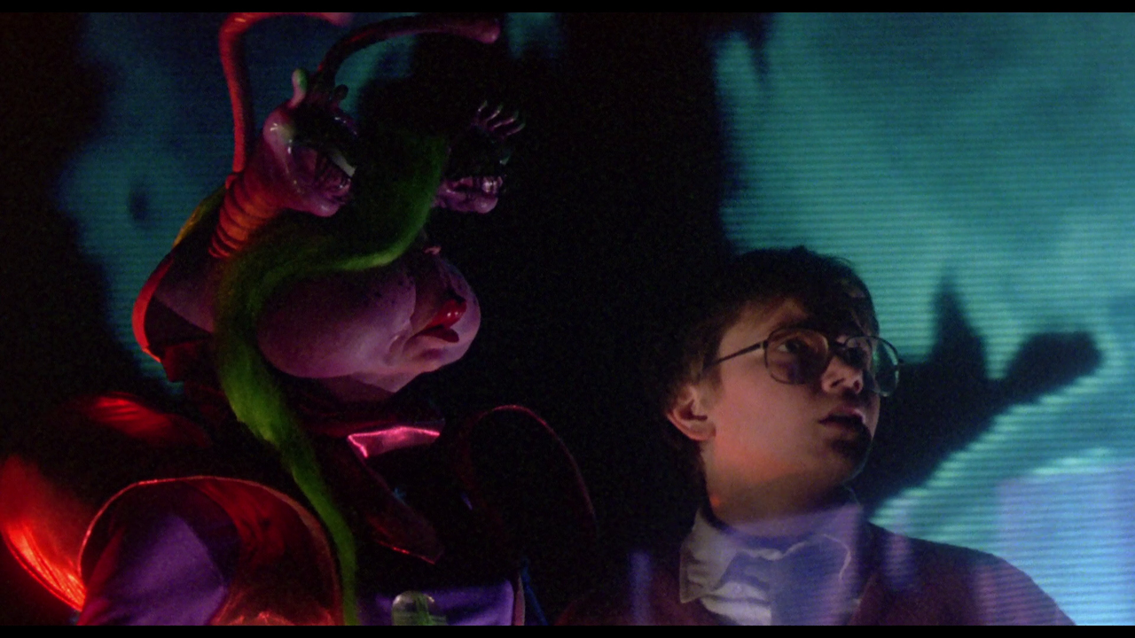 vlcsnap-2023-04-22-11h23m28s824