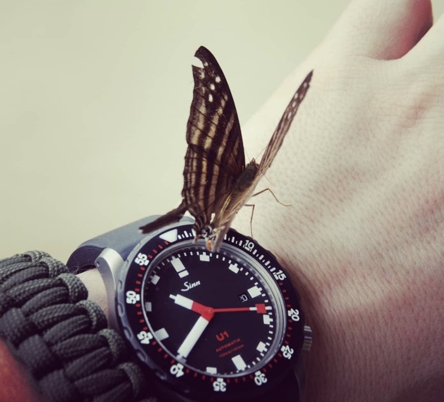 FEBC8592-141E-4052-86E6-0DC9EB3364BB