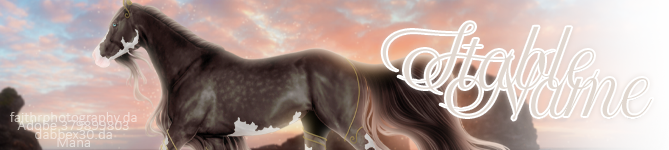 Beach-Stroll-BANNER