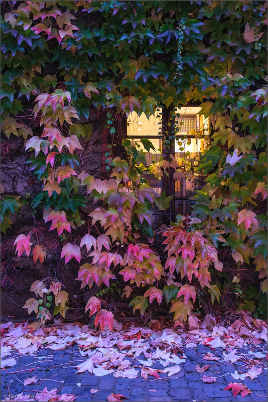 XT4J9370-Verbessert-RR 2024 SB Nauwies City LR ERWZ FB