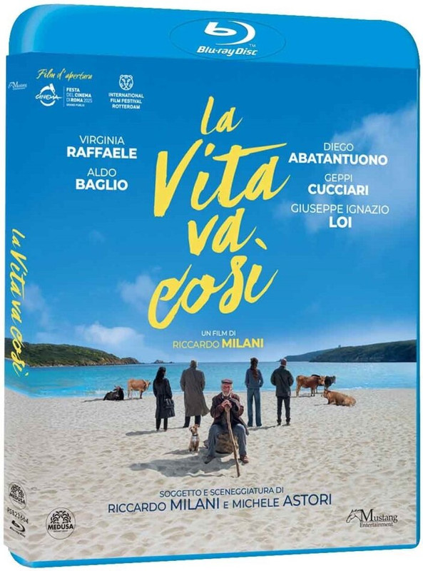 La Vita Va Così (2025) FullHD 1080p iTA DTS+AC3 Subs