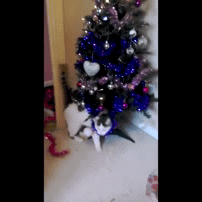 Cat-Youre-Going-Down-Christmas2.gif