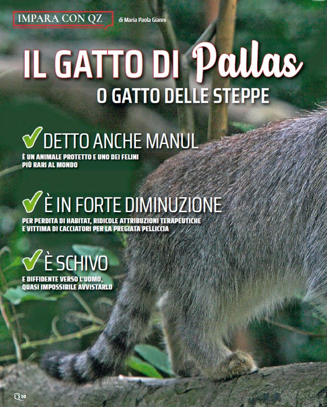 QuattroZampe Apr 2023 (1)