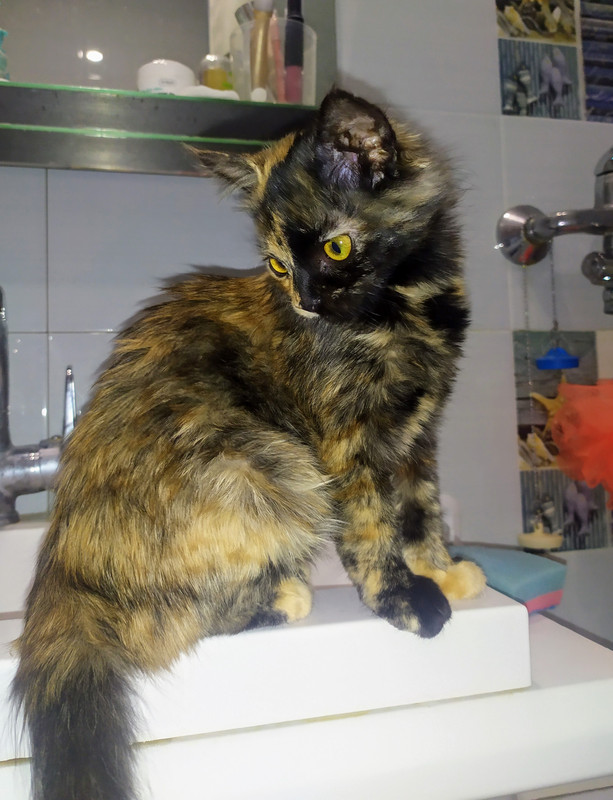 IMG_20201219_103814_2