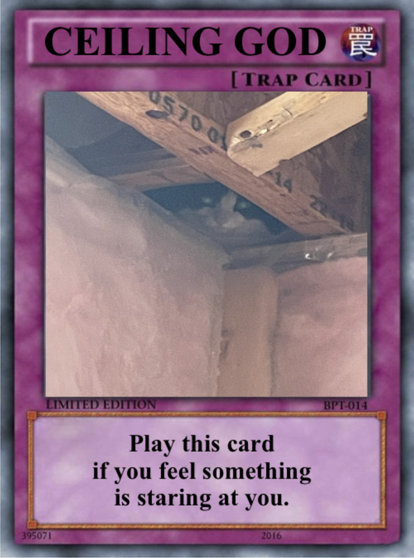 8CBA1E9A-7C7A-4411-96B6-8B23A5E8F304