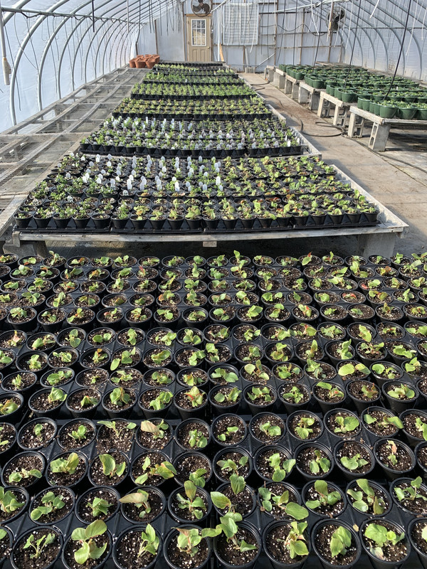 1F7FEFE4-EAE9-49AF-9697-6A072FB8AFFF