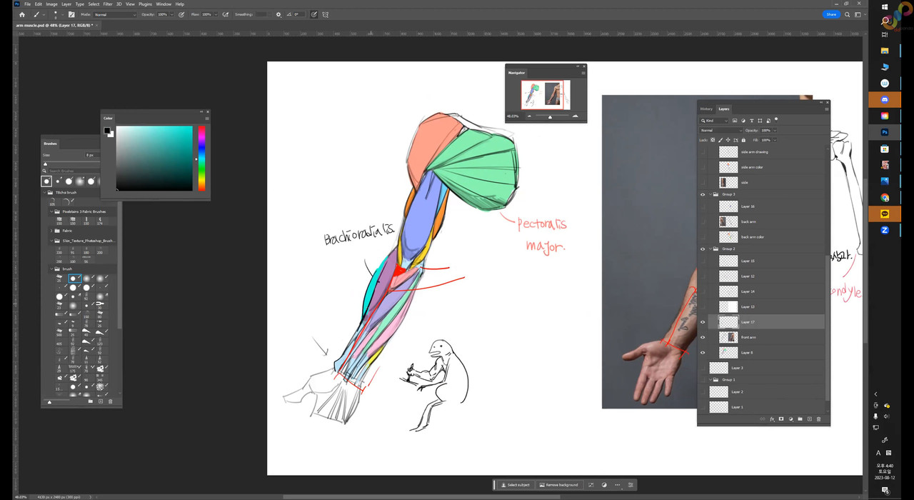 week 1 anatomy 2160p 0003 02 37 29