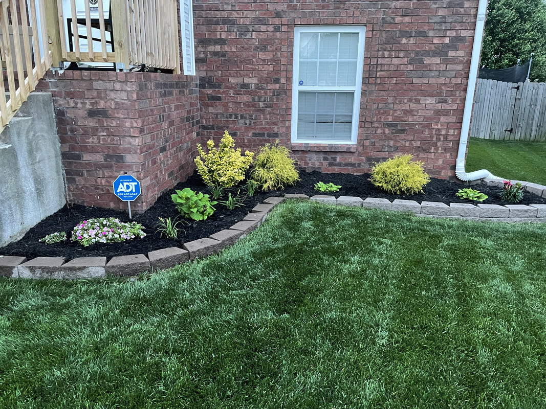 43CB8187-F06D-4D9E-93A6-12FCA6A47A51