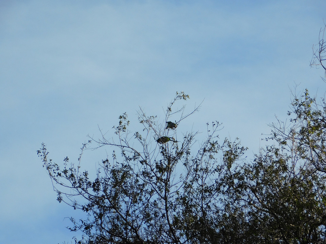 DSCN0262.jpg
