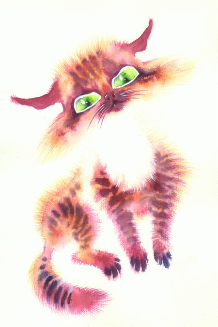 14