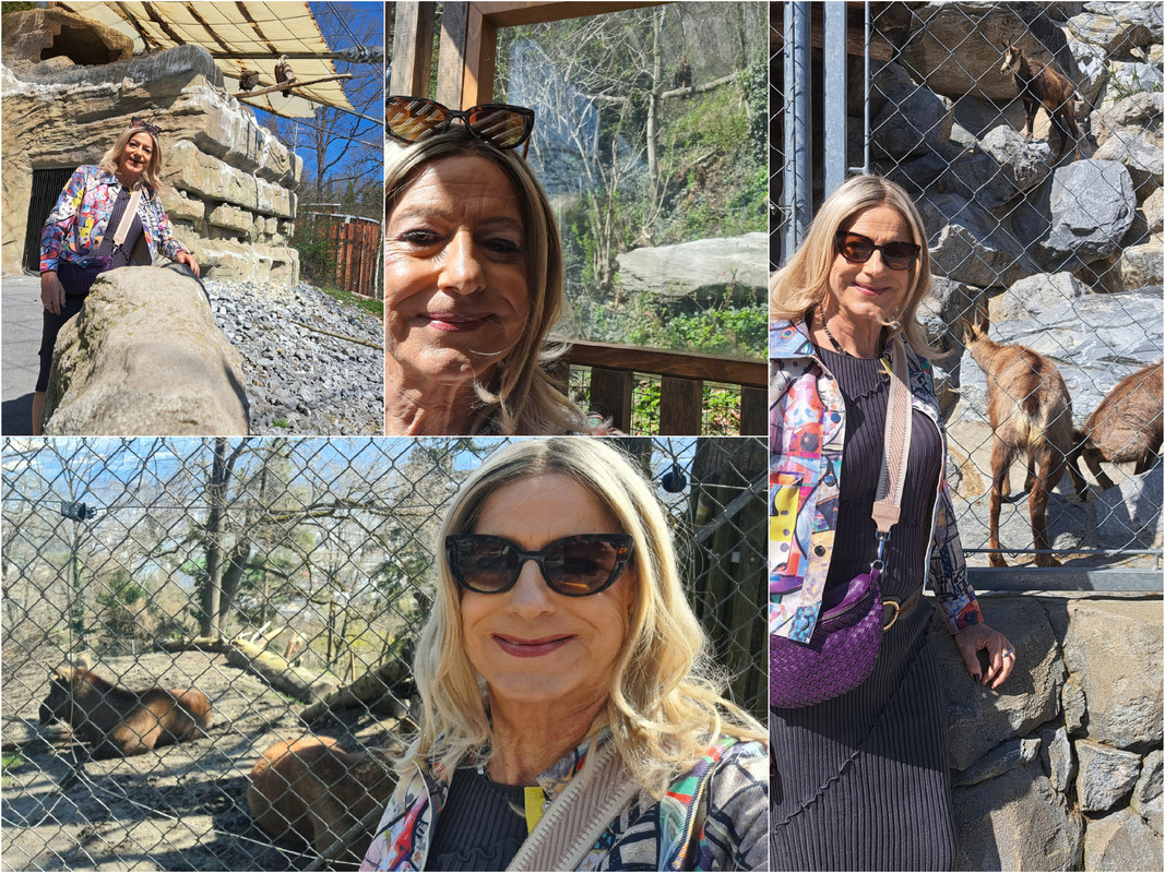 Externes Bild, es gelten die Datenschutz- und Nutzungsbestimmungen der ausgewählten Seite.