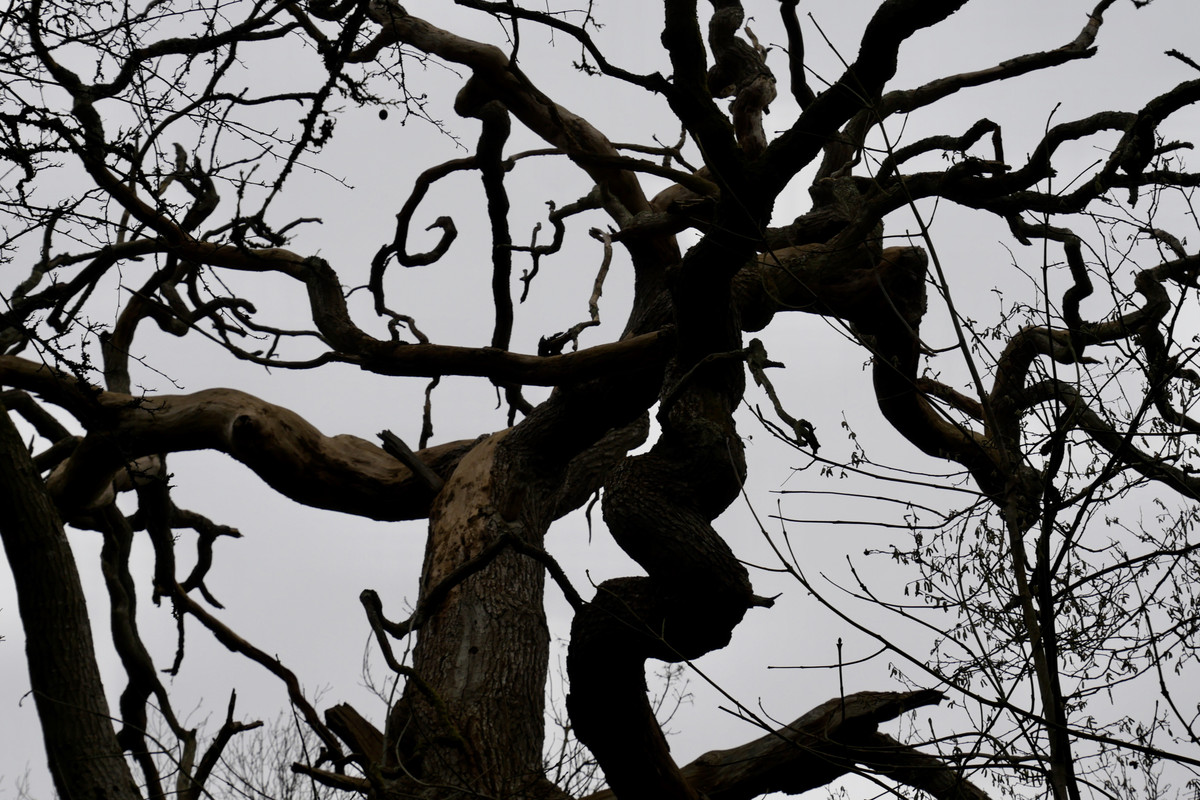 6FC8C329-0E06-447E-A8B2-53889637538C