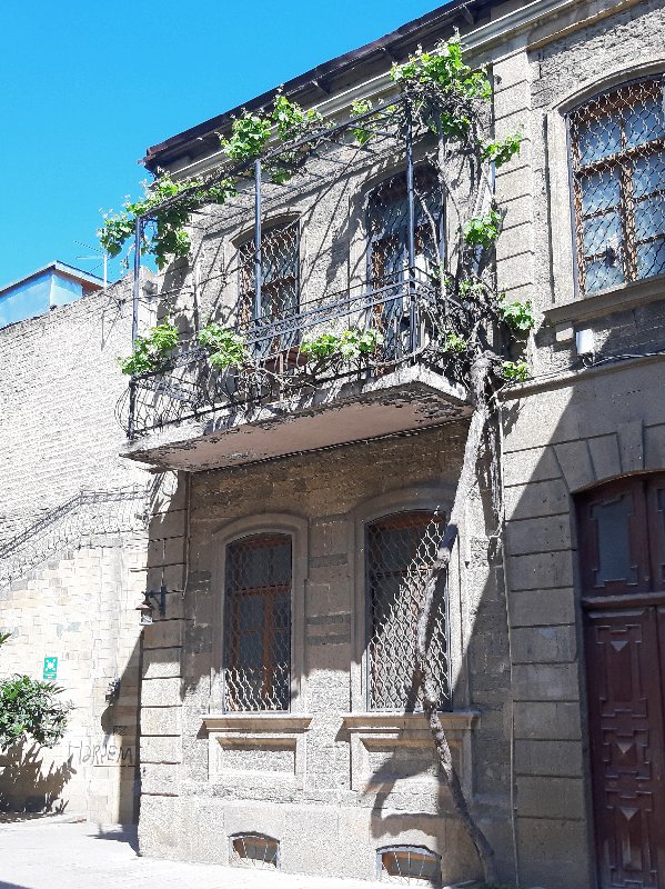 https://i.postimg.cc/TwPtrbP7/49-20190512-090542.jpg