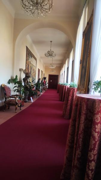 Castillo Zbiroh-21-9-2025 - República Checa y sus pueblos-2025 (15)