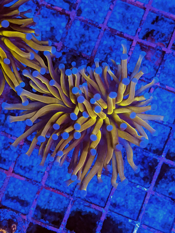 IMG_20200205_190637~2