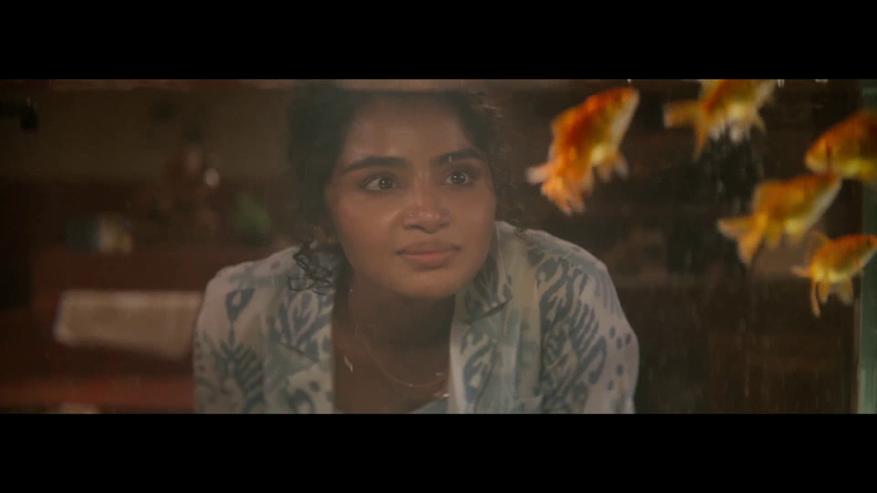 vlcsnap 2025 11 09 16h40m02s416