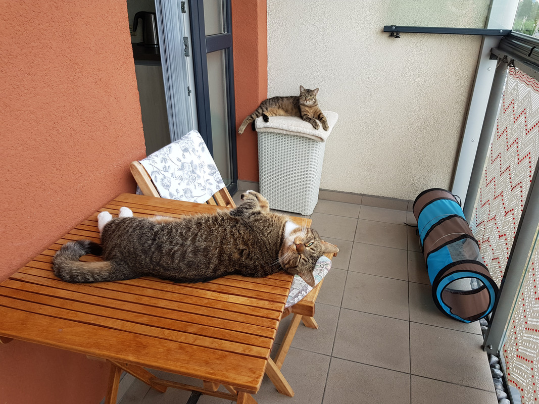 20190606-193224.jpg