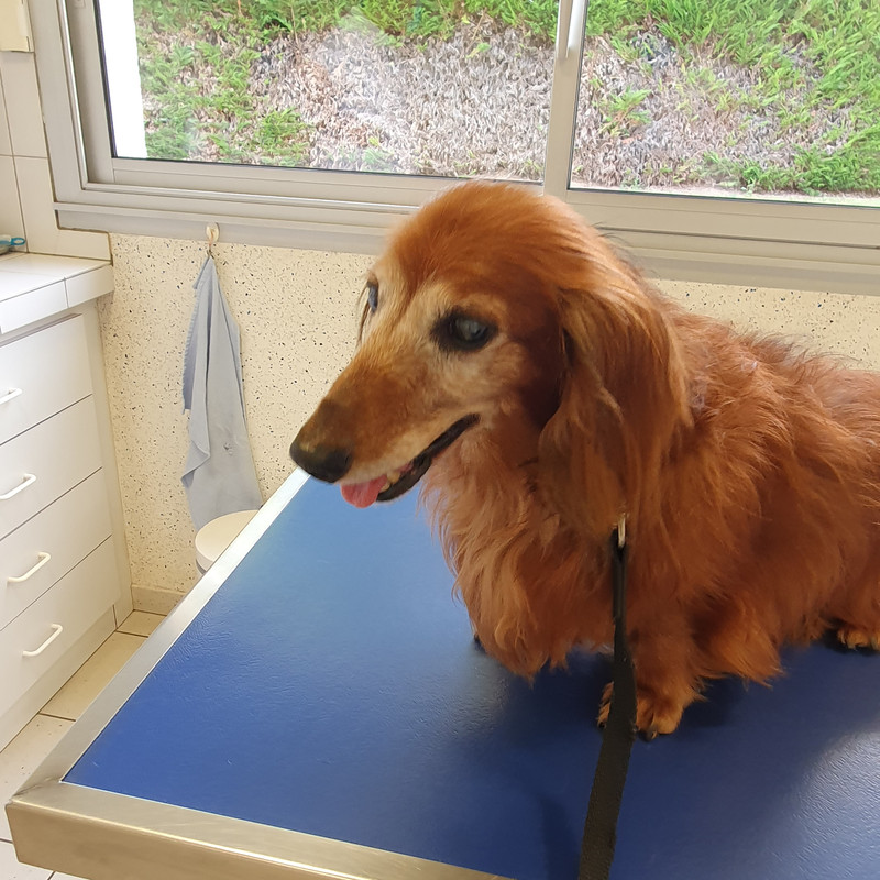 [Image: 20210820-182641.jpg]