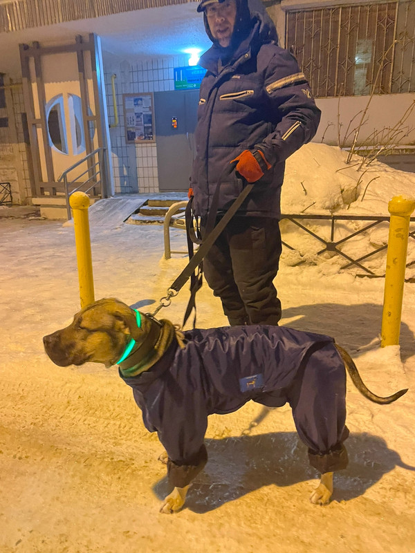 1CC26F9D-03B1-4143-8A7C-A4EBB99C0A56