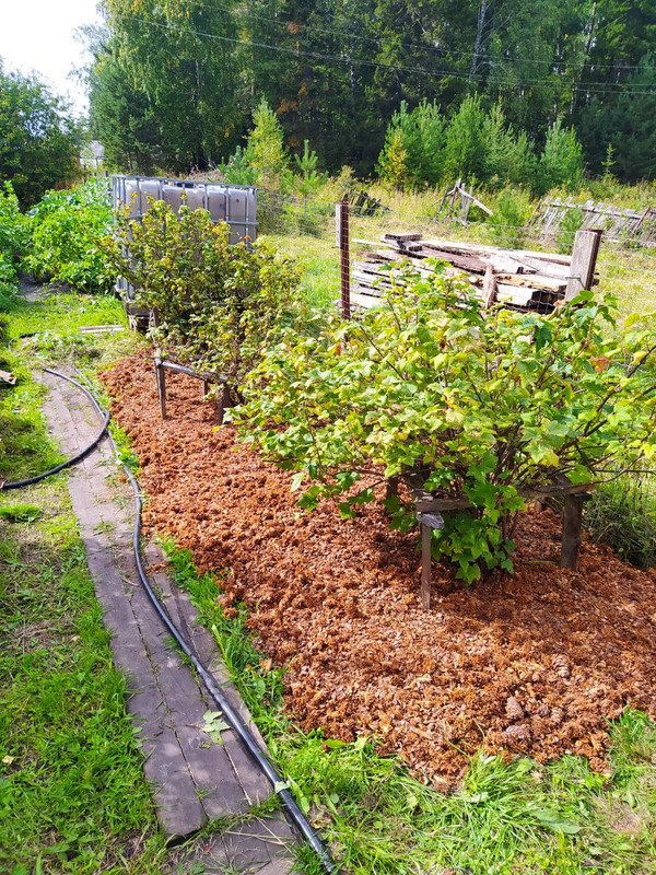 photo_2022-08-18_15-09-02