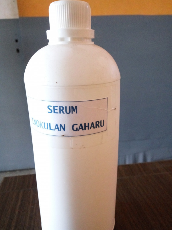 Rajakayu88 serum gaharu inokulan untuk proses pembentukan gubal